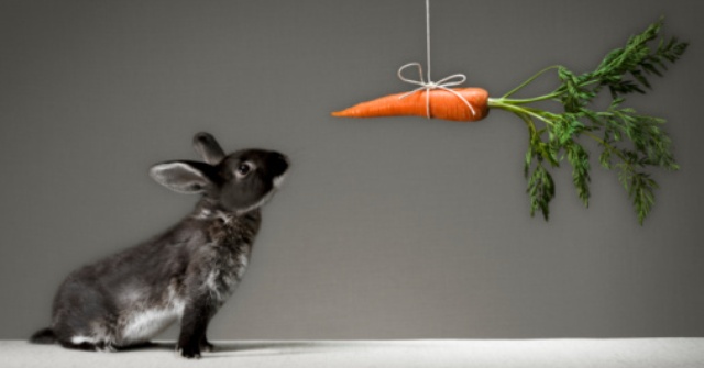 marka-yonetmek-musterinin-1