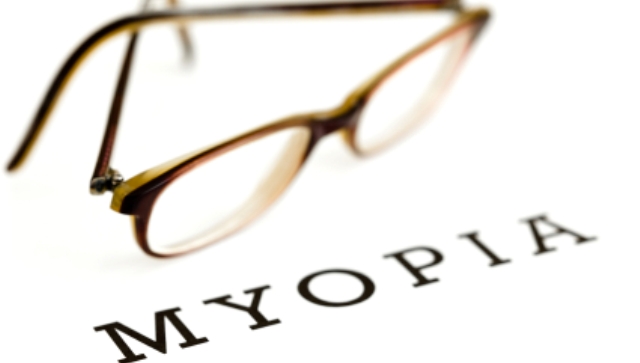 Sizin şirketiniz hangi işi yapıyor?